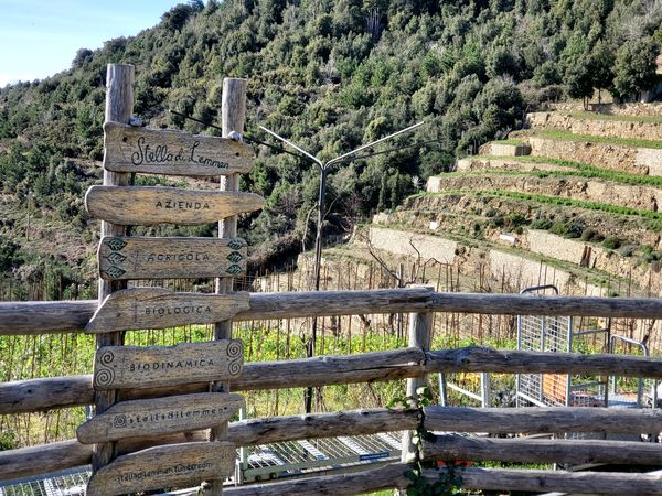 Italy - Cinque Terre Hiking