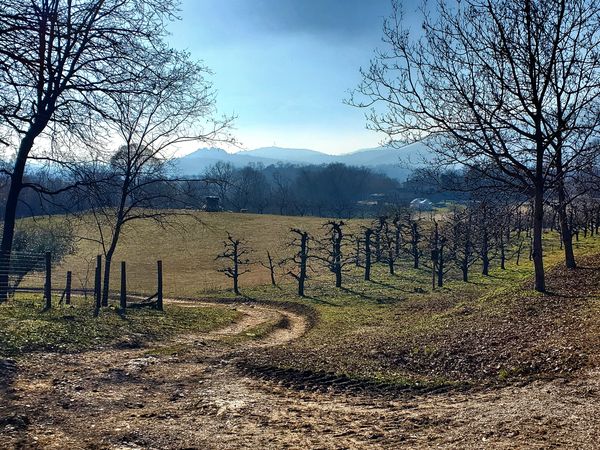 Italy - Colli di Budoia e Polcenigo